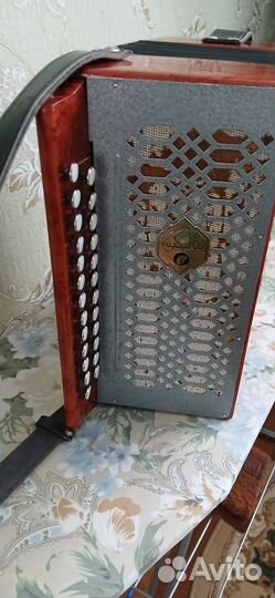 Гармонь Кубань