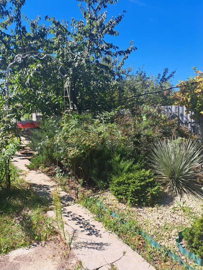 Дача 35 м² на участке 8 сот.