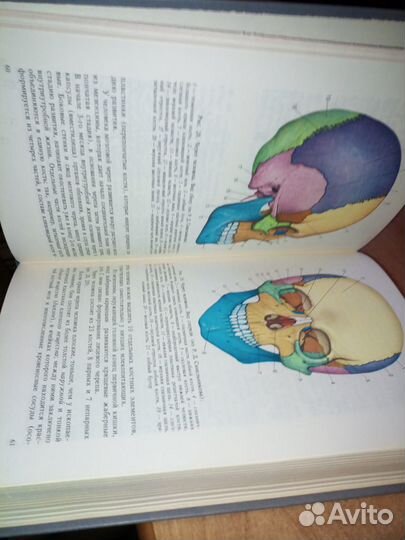 Анатомия человека. Сапич М.Р., Билич Г.Л