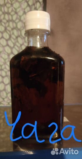 Чага березовая экстракт