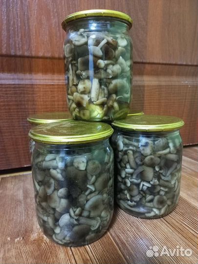 Опята маринованные