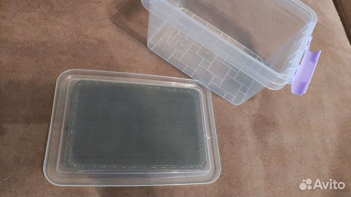 Террариум, паучатник