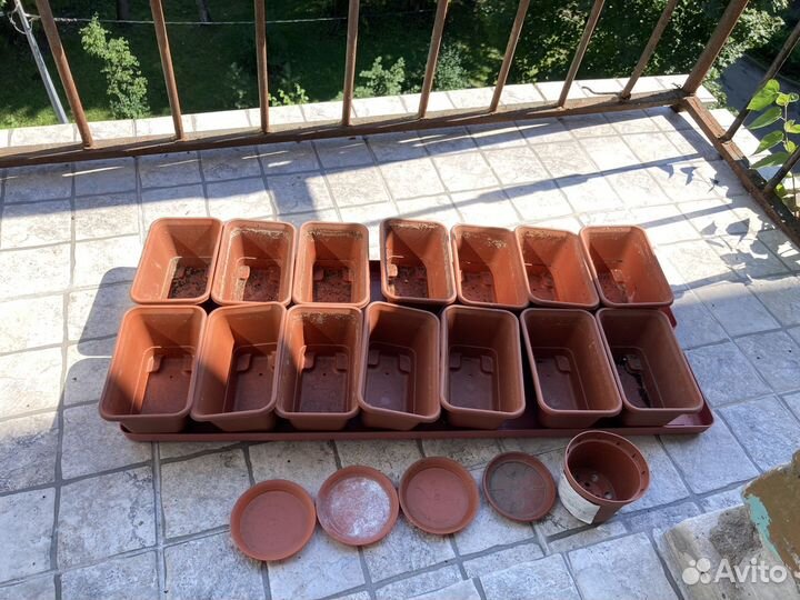 Горшки для рассады, домашний огород