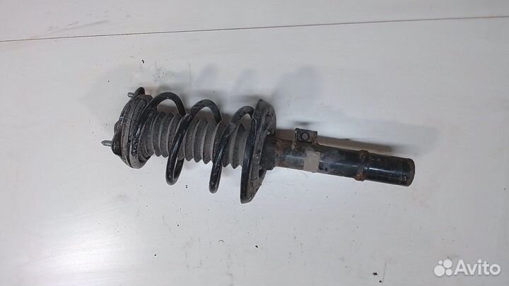 Амортизатор подвески Honda Civic 2015, 2019