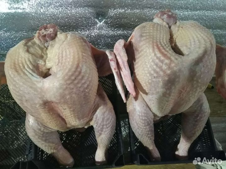 Индейка тушкой