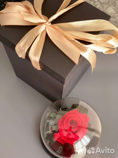 Розу в колбе живая роза цветы праздник Севастополь