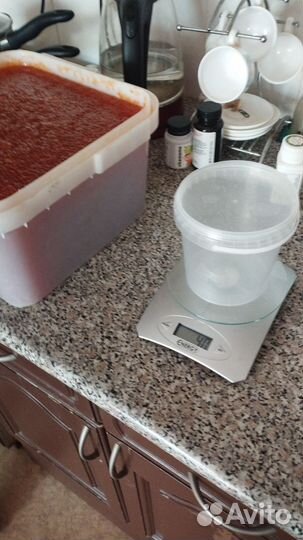 Красная икра. Кета