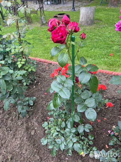 Опора для растений