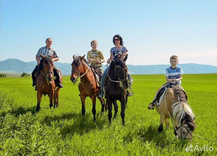 Конные прогулки, Верховая езда, катание на лошадях