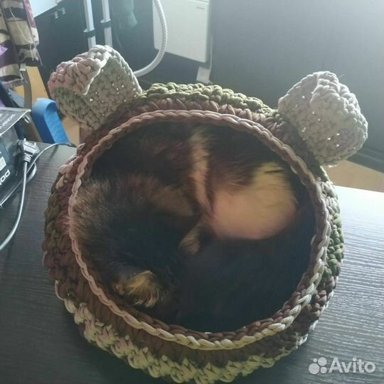 Домик для кота