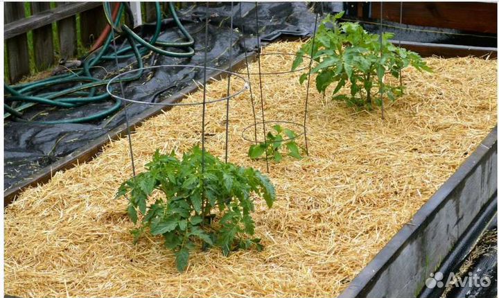 Солома для мульчирования в тюках