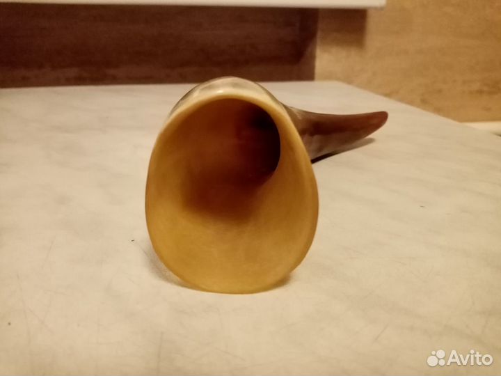 Костяной рог