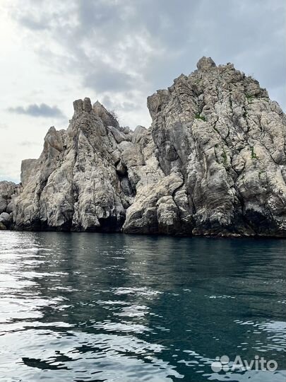 Подача путевки в Артек