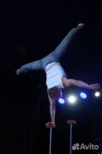 Артисты на праздник