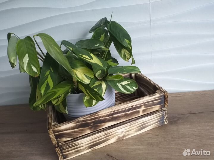 Ящик деревянный подарочный декоративный