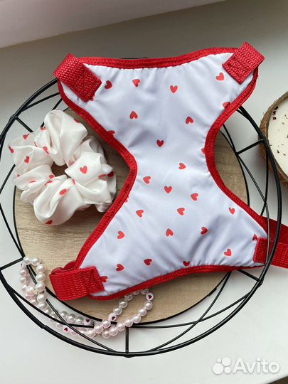 Одежда для собак