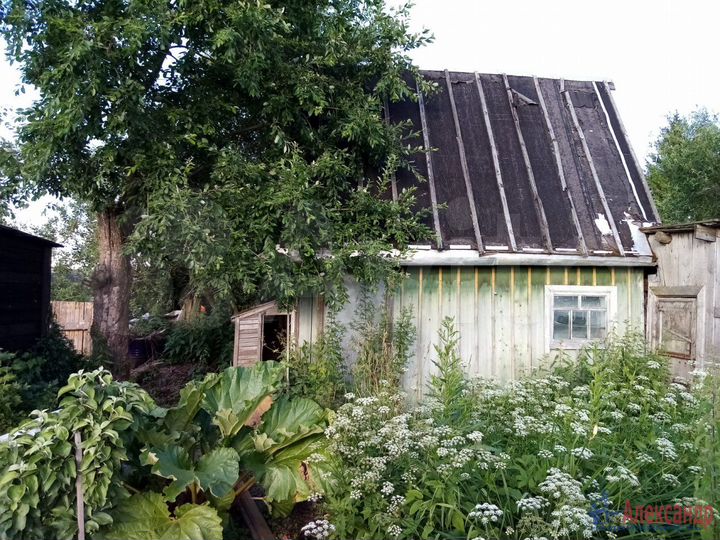 Участок 5 сот. (ИЖС)