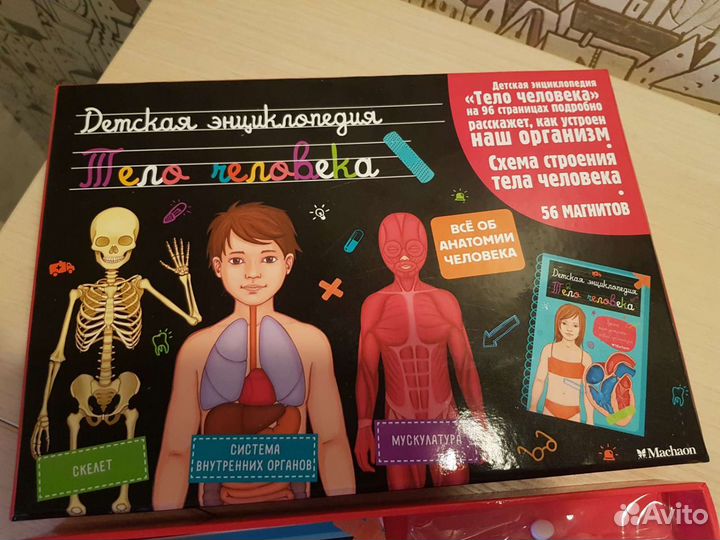 Детская энциклопедия тело человека Махаон