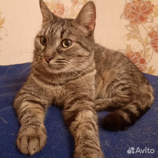 Европейская