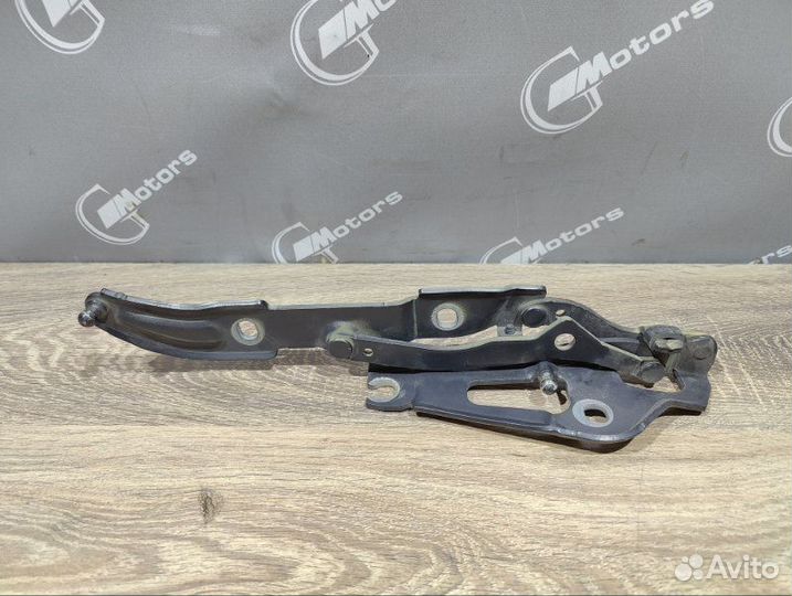 Петля двери багажника Bmw 320I E90 N46B20BD 2009