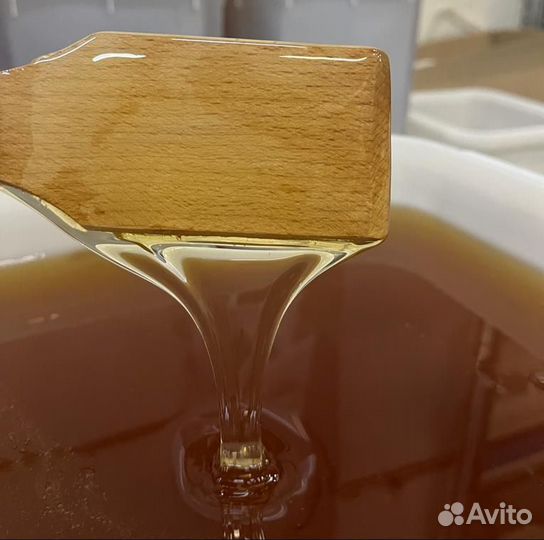 Свежий мед горный опт