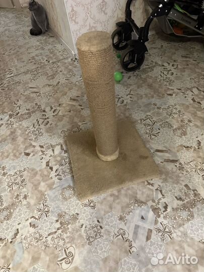 Когтеточка для кошек