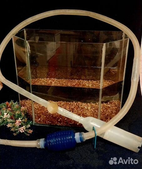 Аквариум, террариум из оргстекла