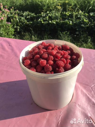 Малина зрелая свежая
