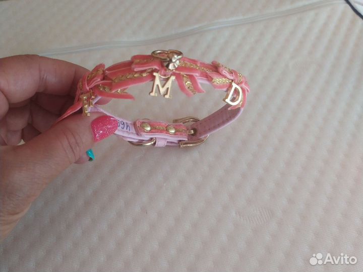 Ошейник для небольшой собачки