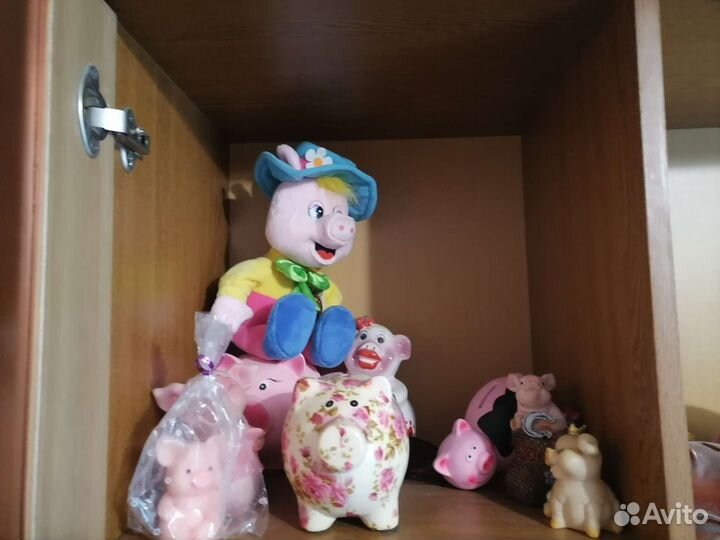 Коллекция поросят