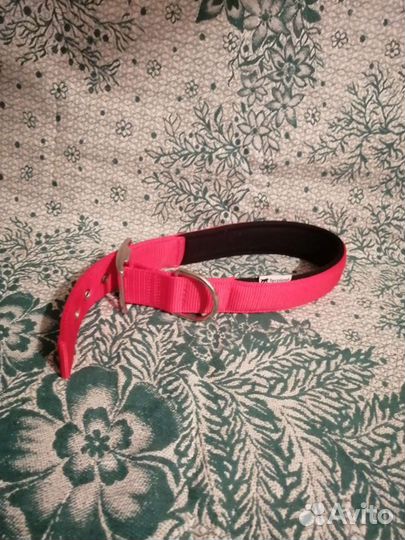 Ошейник для собак