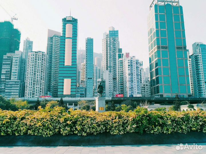 Интенсивный курс разговорного английского