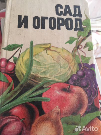 Сад и огород