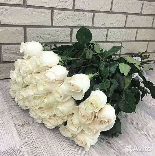 Метровые розы 110