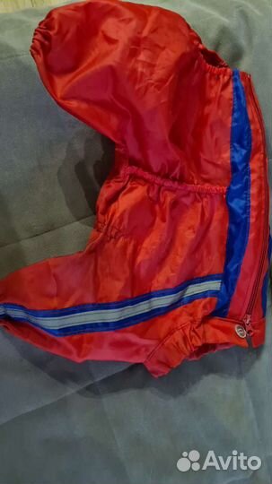 Одежда для английского бульдога