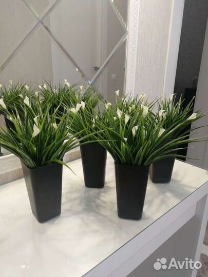 Искусственные растения