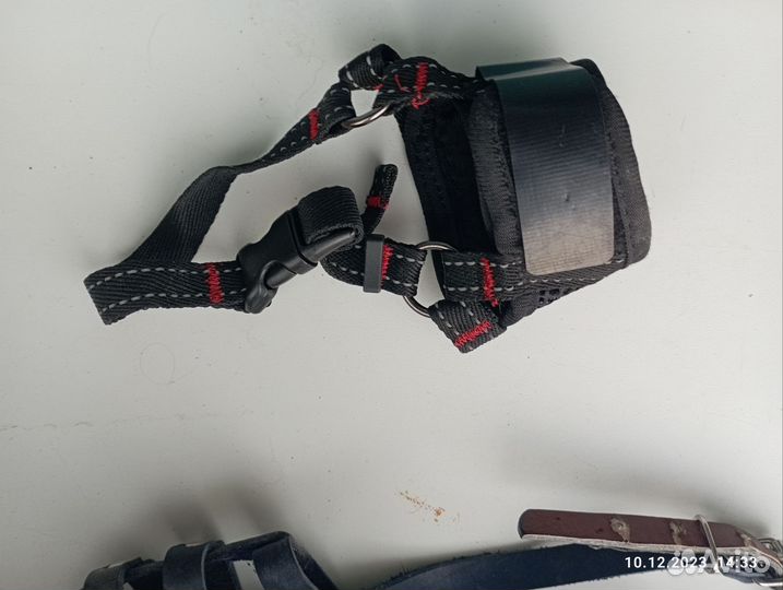 Намордник для собаки