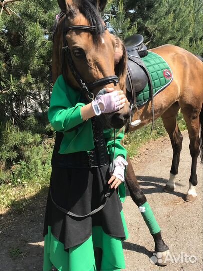 Вальтрап и бинты для верховой езды