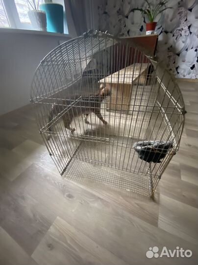 Клетка с гнездом