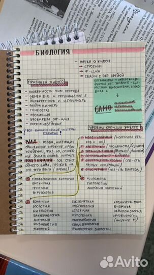 Биология конспекты ЕГЭ