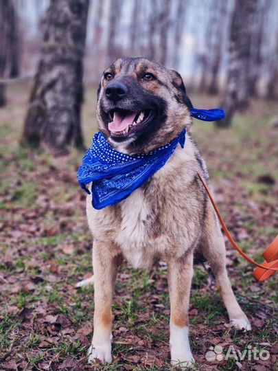 Красавица Мира ищет семью