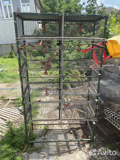 Клетки для перепелов