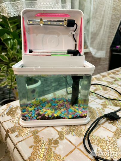 Мини аквариум