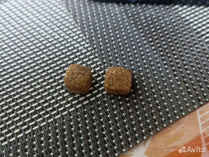 Сухой корм для собак