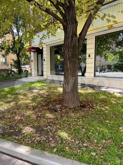 Торговая площадь,общепит, ПСН на Патриках