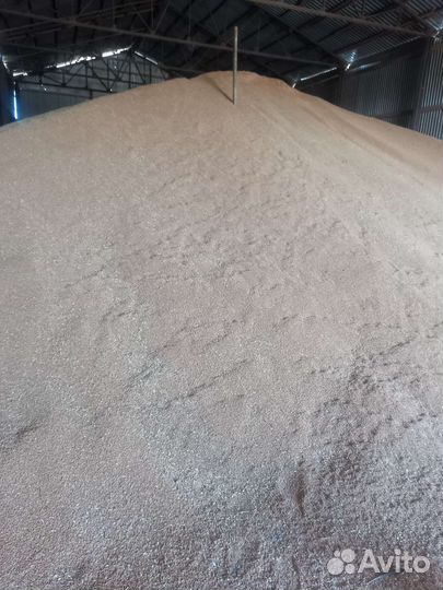 Зерно овес, пшеница, ячмень