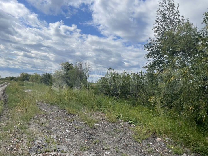 Участок 10 сот. (СНТ, ДНП)