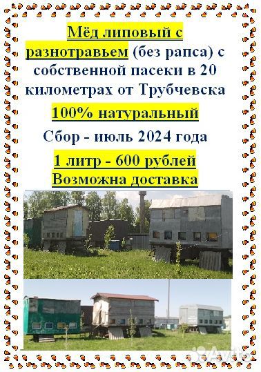 Мед липовый с разнотравьем