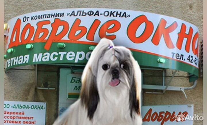 Менеджер
