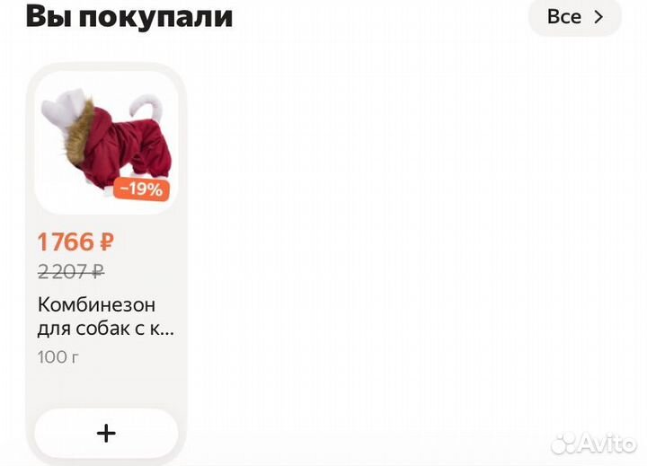 Одежда для собак мелких пород